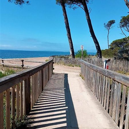 Le Jardin De La Plage - Linges Inclus La Londe-les-Maures Ngoại thất bức ảnh